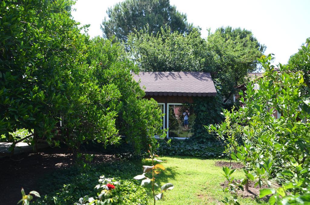 Lindos Pension Dalyan Ngoại thất bức ảnh